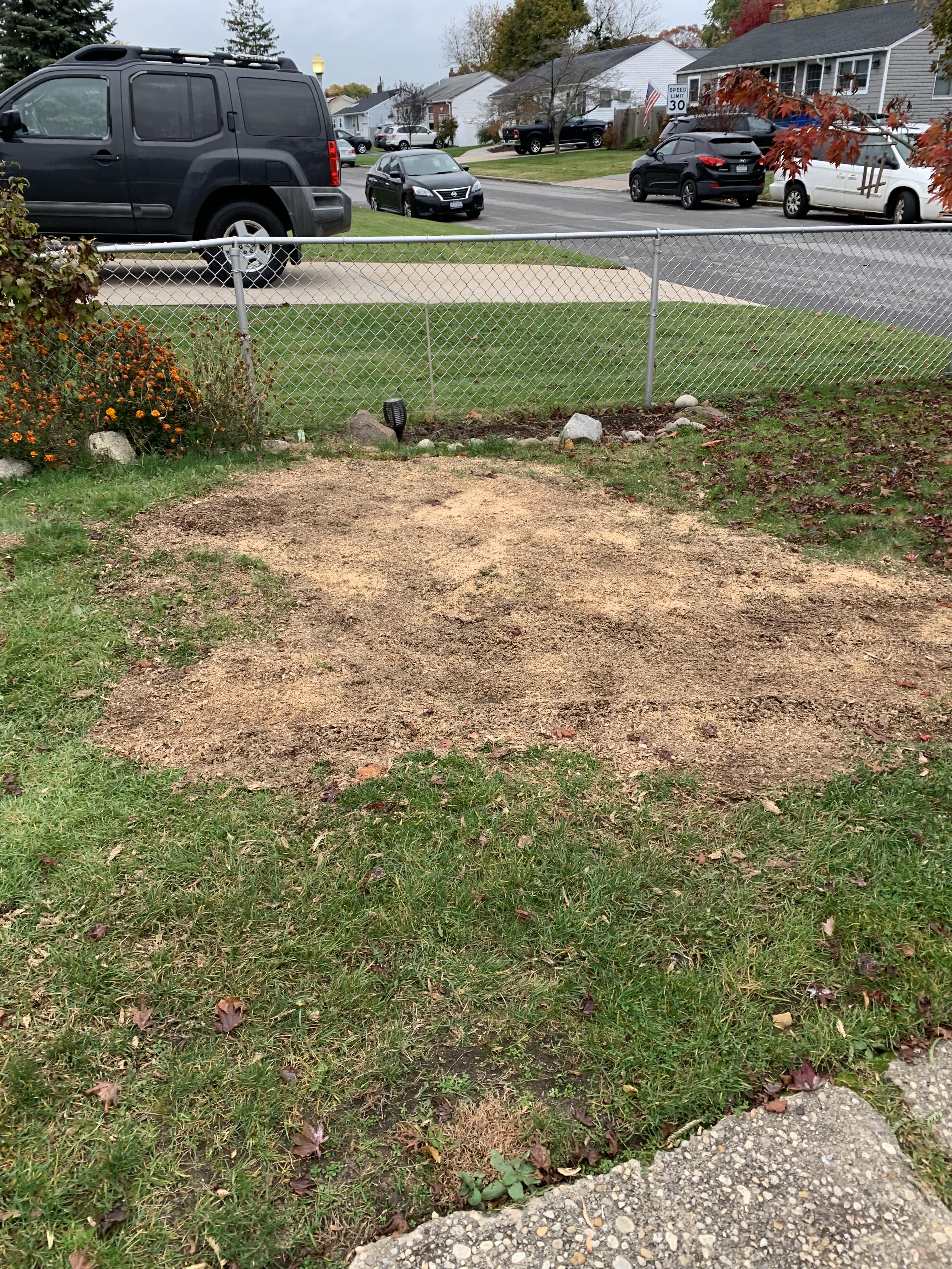 Large Stump from uprooted tree (back)